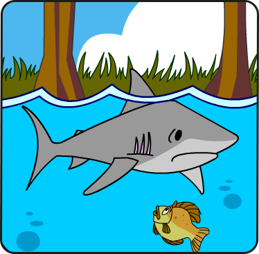 Illustration of a shark below the water