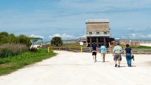 People walking toward Lake Apopka Wildlife Drive