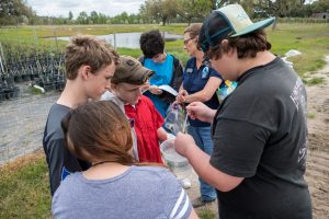 Students looking at water quality tests