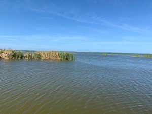 Calm waters on Lake Apopka