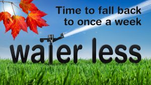 District's Fall Back campaign