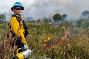 Disrict staff conducting a prescribed fire