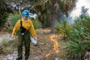 Prescribed fire at Fort Drum Marsh