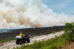 District staff person on a 4-wheeler, observing a control burn