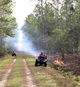 Prescribed fire at Heart Island Conservation Area