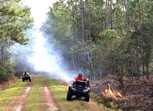 Prescribed fire at Heart Island Conservation Area