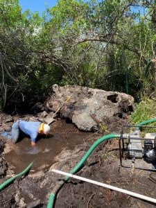 A workman clears debris from the site of a free-flowing well to prepare to plug it.