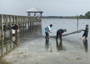 Students seining at a shore