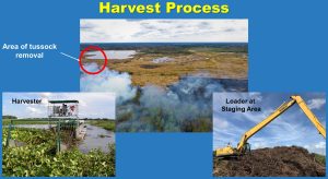 Orange Creek mechanical harvest Powerpoint slide