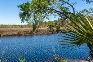 View of calm water in a creek