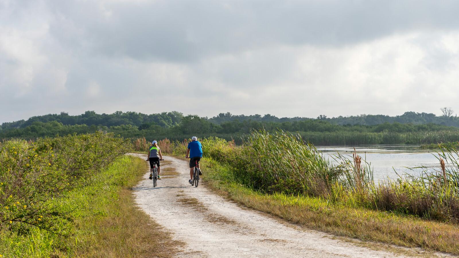 Recreational cyclists riding on a trail