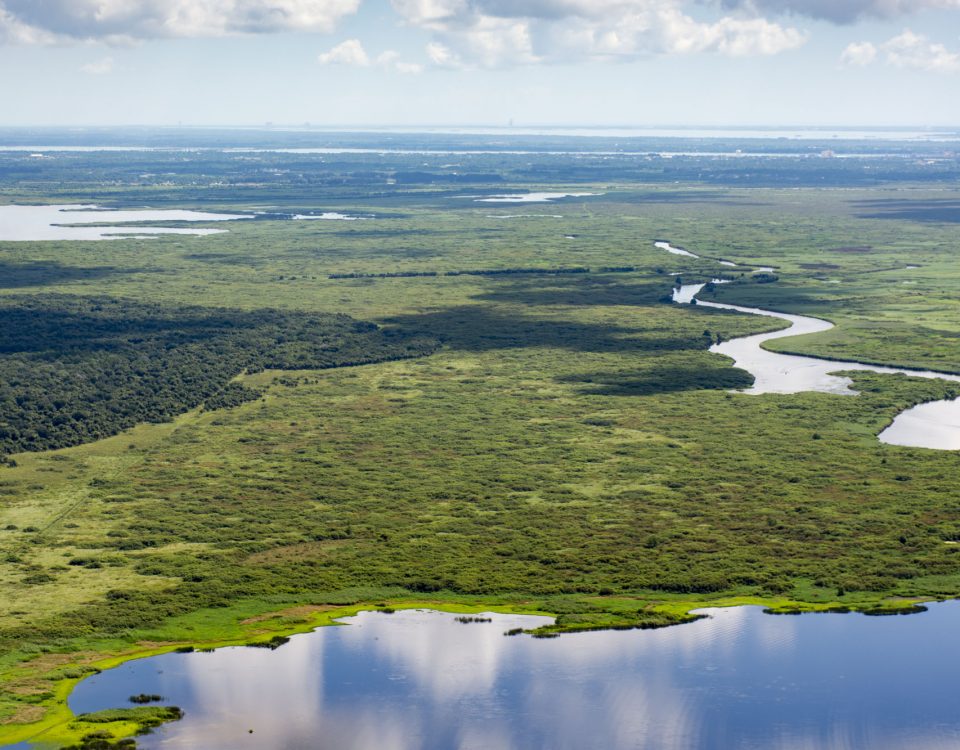 Aerial of the upper St. Johns River