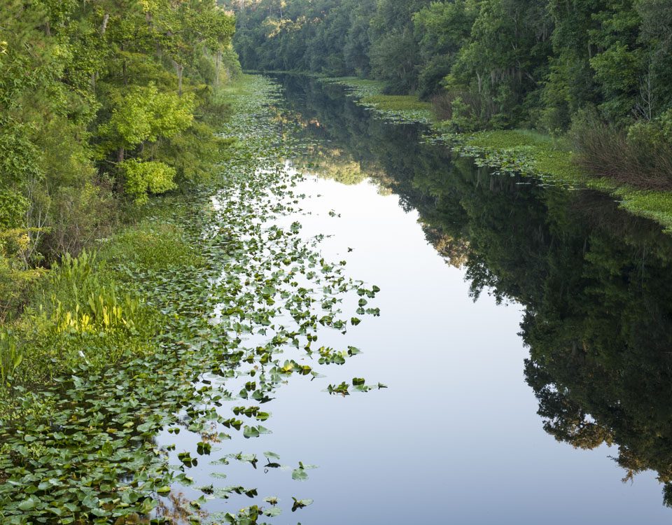 Ocklawaha River at Ocklawaha Prairie Restoration Area