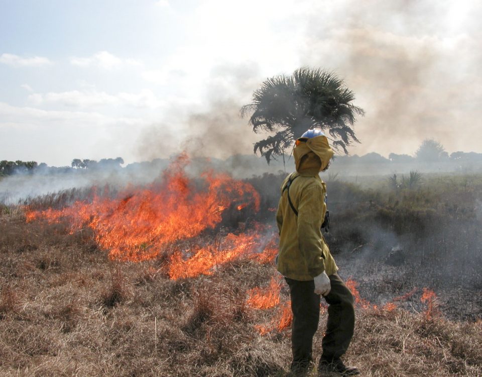 Land manager keeping an eye on a prescribed fire