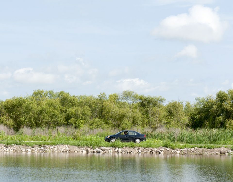 A car driving on the Lake Apopka Wildlife Drive