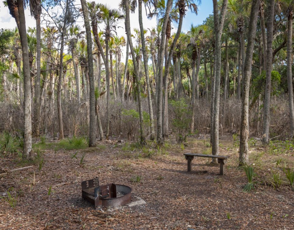 Camping Area at Seminole Ranch Conservation Area