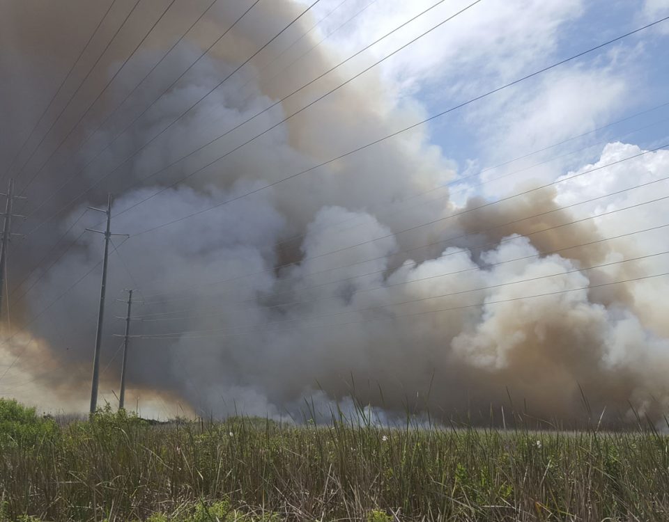 Large smoke plume from a wildfire in Brevard County