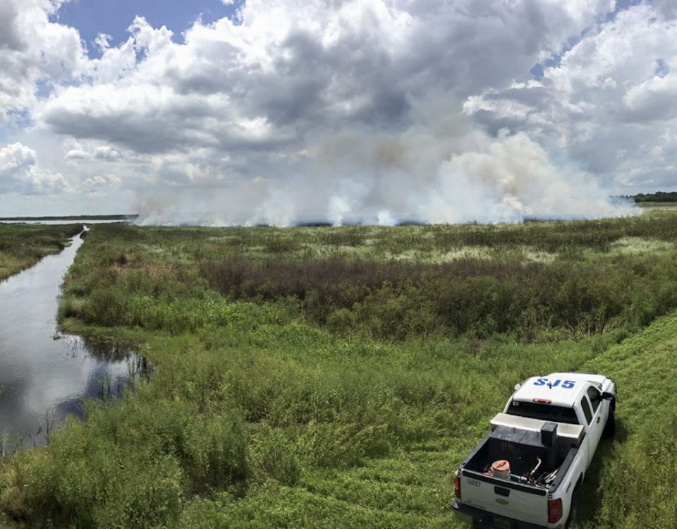 Fire burning in an open marsh