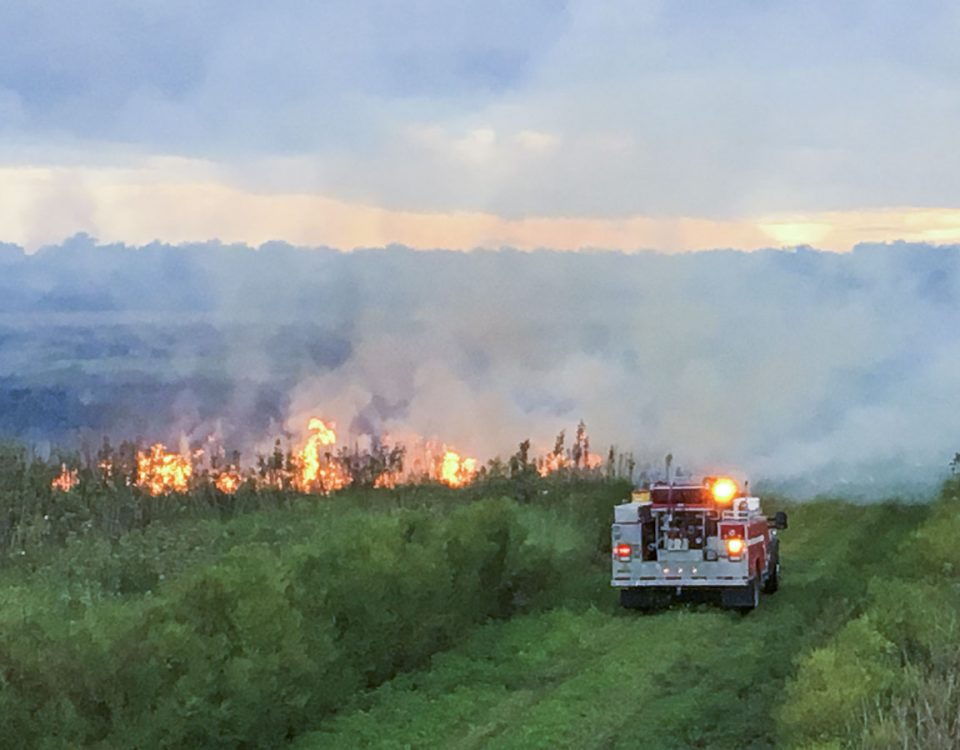 Fire truck next to a fire buring in an open area