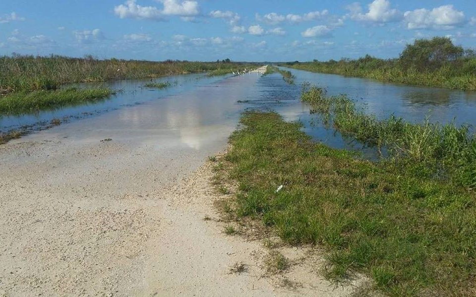 Flooding of the Lake Apopka Wildlife Drive