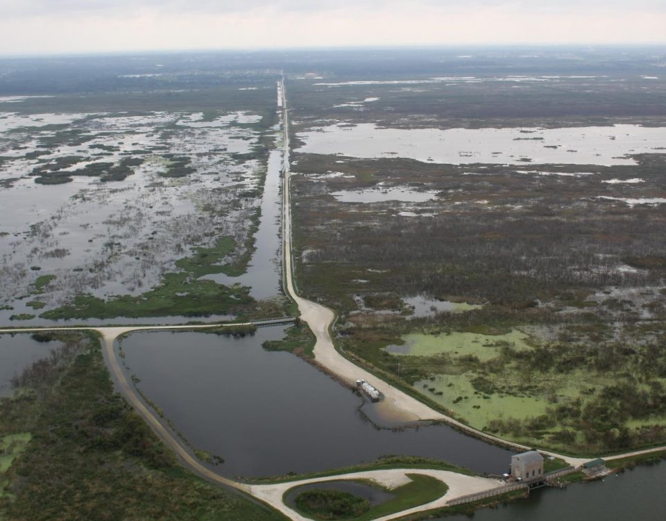 Aerial of the Lake Apopka North Shore after Hurricane Irma