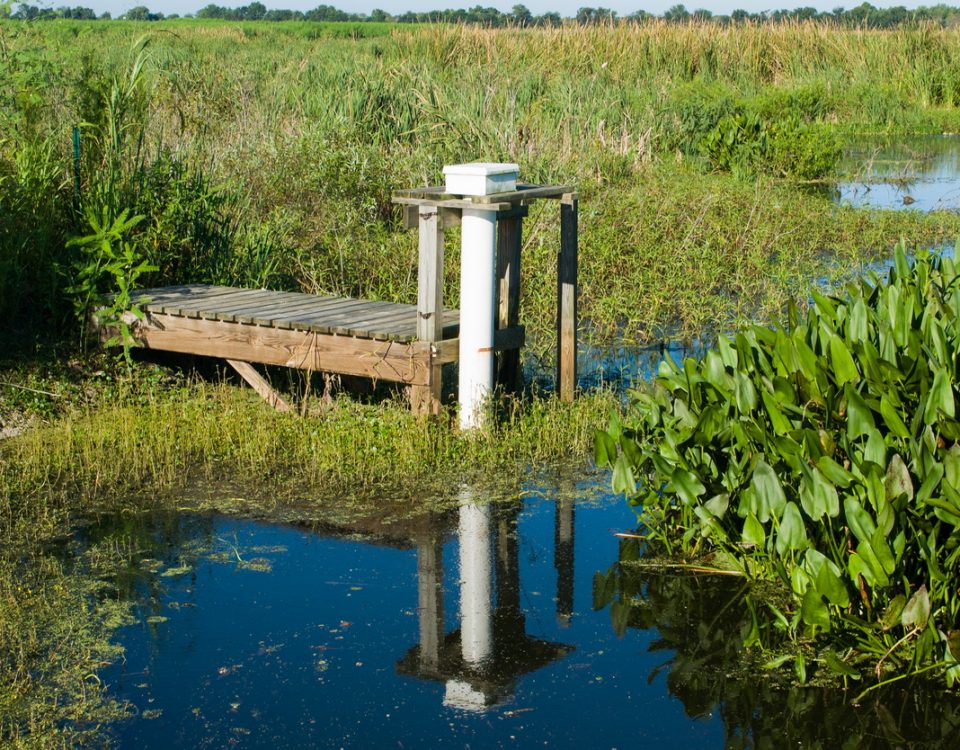 Surface water monitoring staing