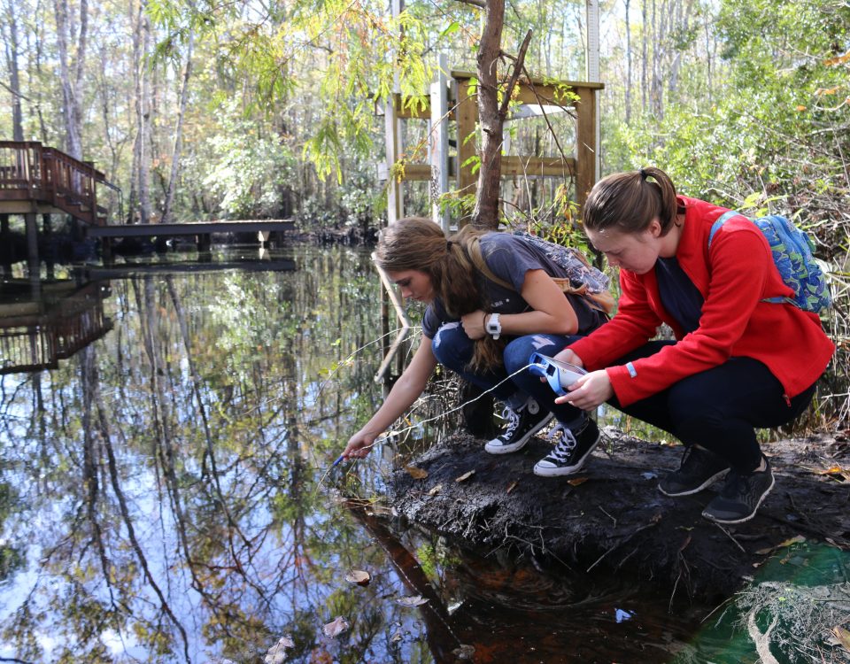 Students testing water at Julington Creek