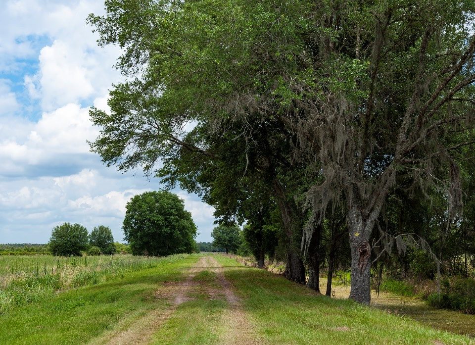 Hiking trail at Sunnyhill Restoration Area