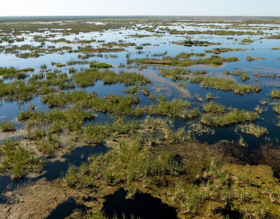 Aerial of Fellsmere Water Management Area