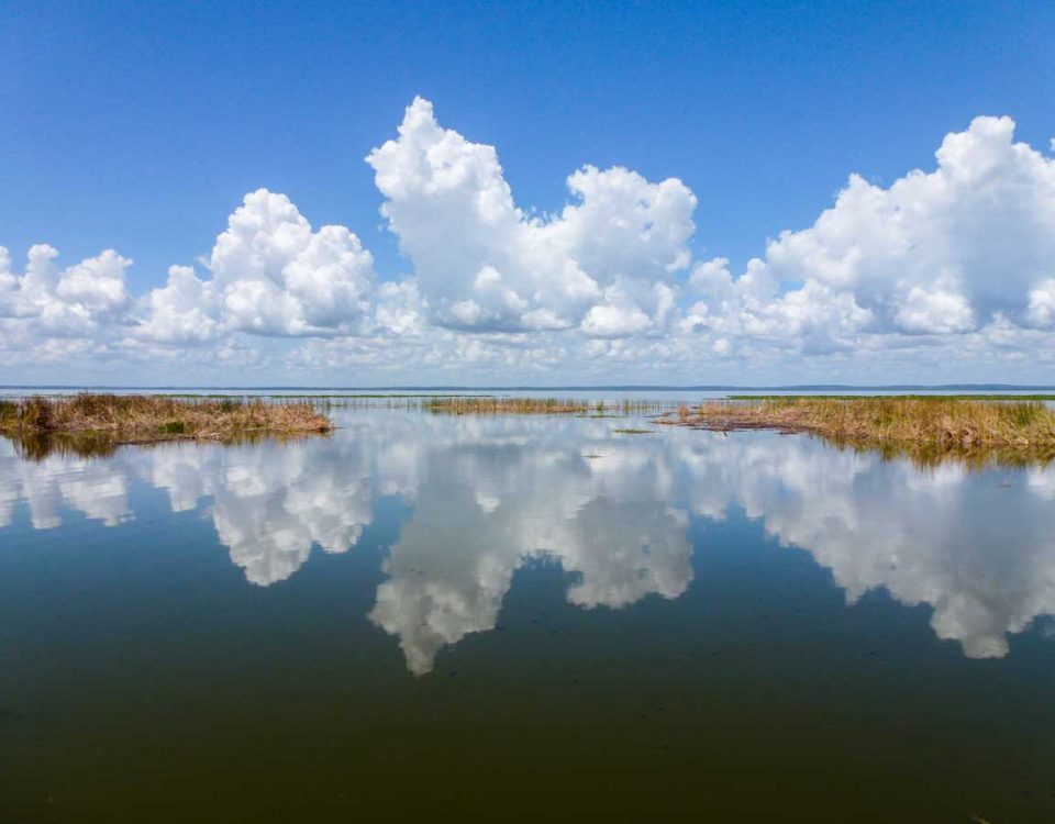 Clouds reflecting in the waters of Lake Apopka