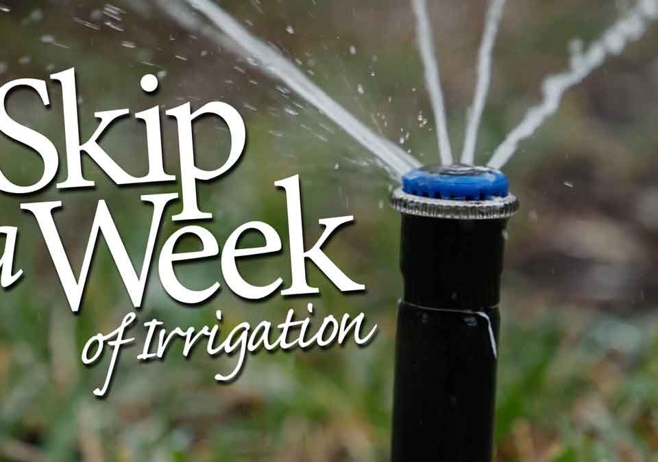 Skip a week of irrigation graphic with photo of a spray head