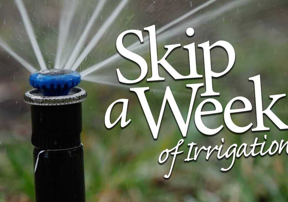 Skip a Week of Irrigation