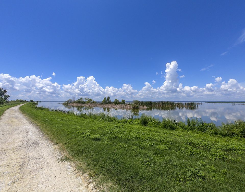 Lake Apopka North Shore trail next to Lake Apopka