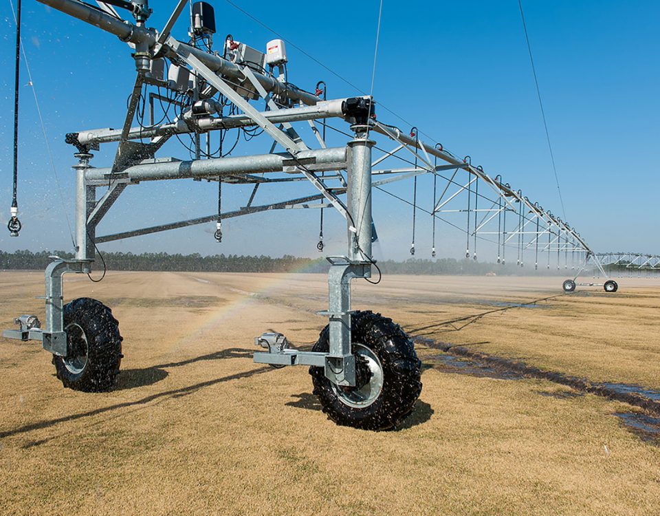 Pivor irrigation system watering a sod farm