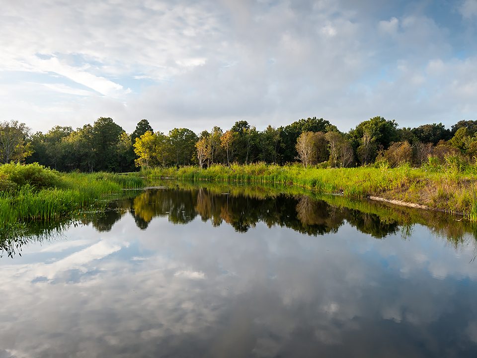 Open water along the wildlife drive at Emeralda Marsh Conservation Area