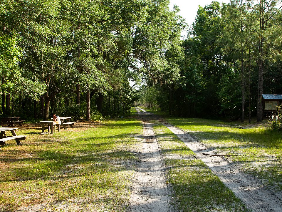 A dirt road in a forest leading past some picnic tables and a kiosk