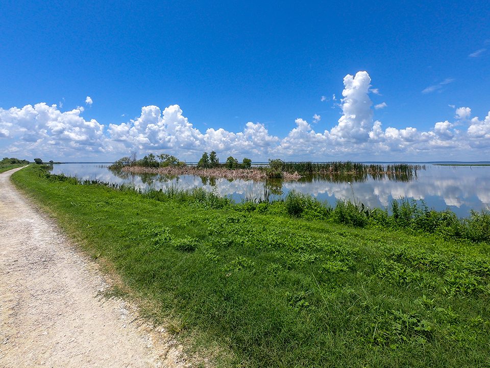 Small unpaved trail on levee next to Lake Apopka