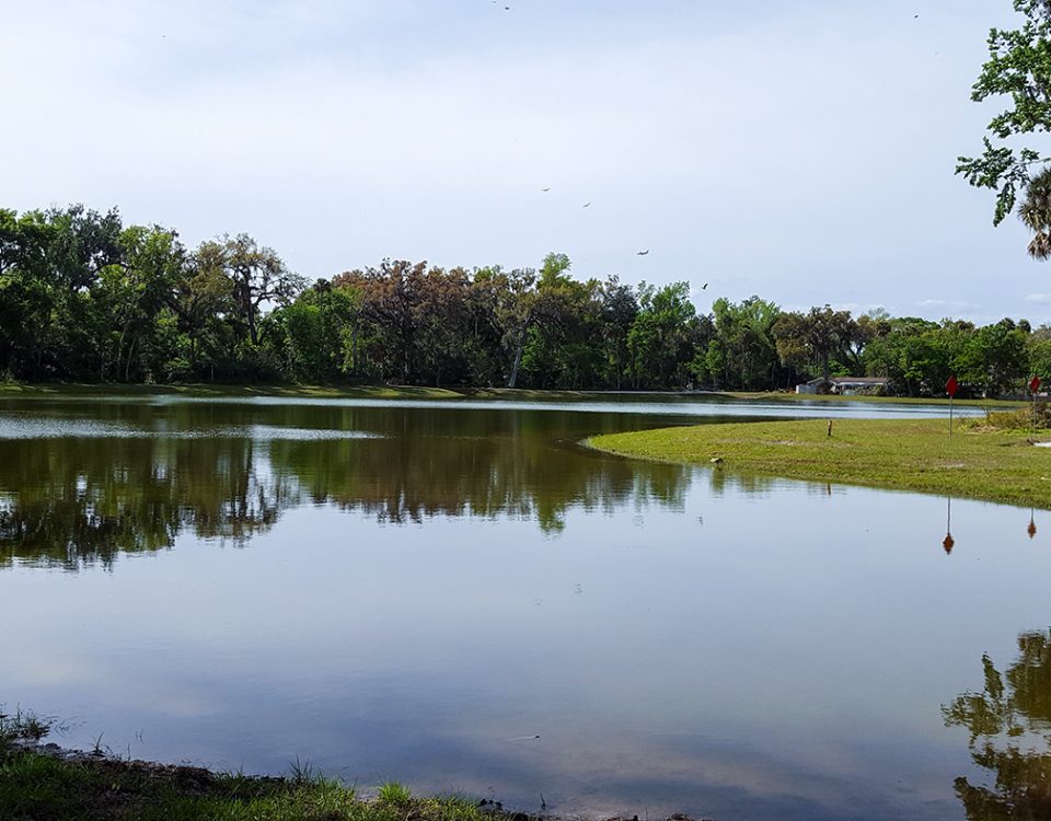 Large stormwater pond with trees and houses in the background