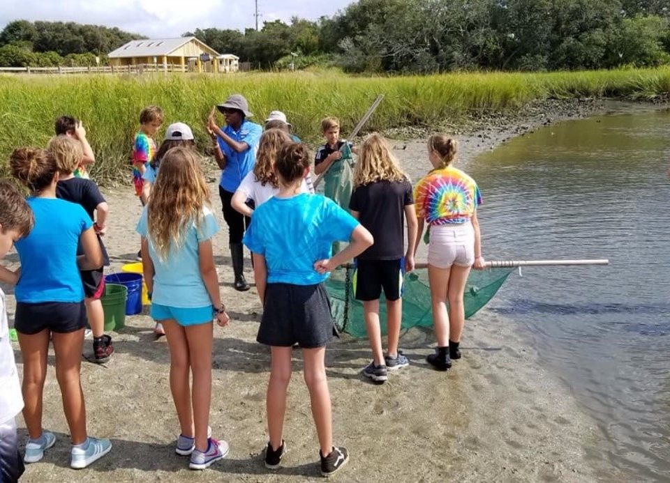 Students at a salt marsh learnign about seining