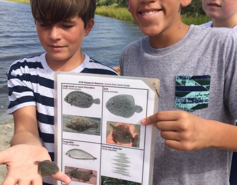 Young school children on an ecological retreat.