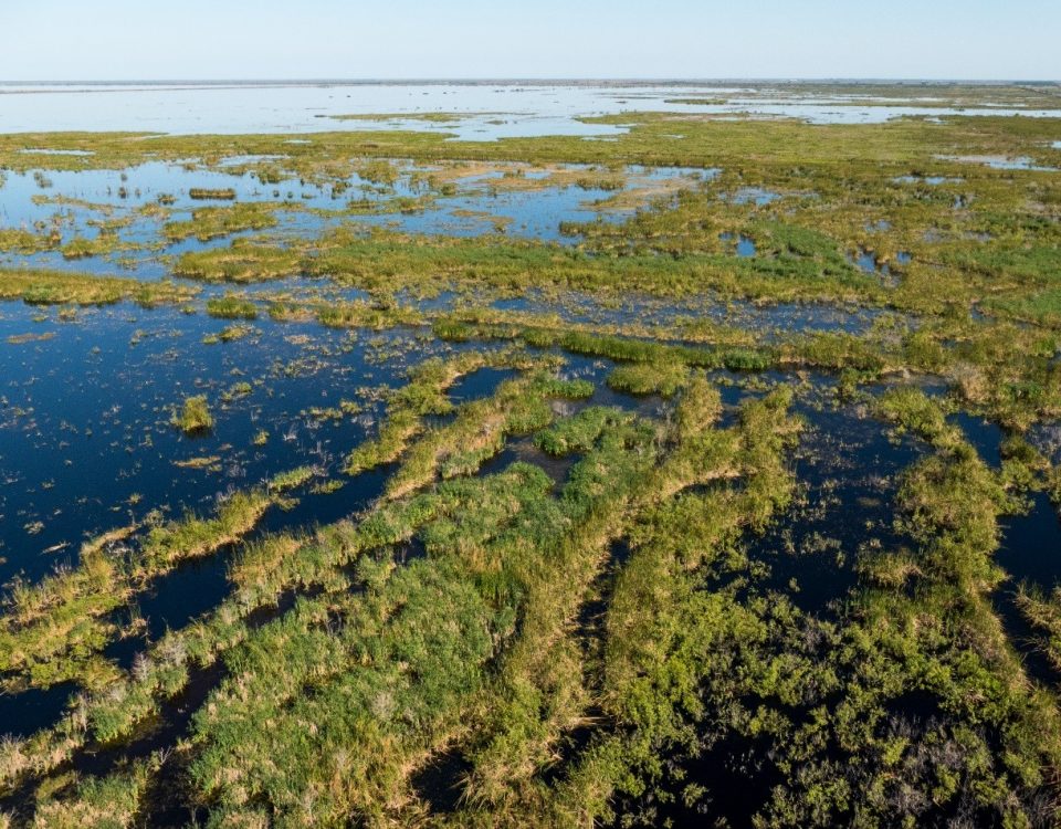 Areal photograph of Fellsmere Water Management Area