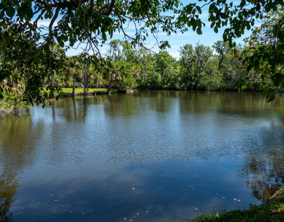 View of Crane Creek from under the shadow of a tree