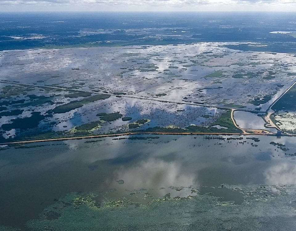 An aerial image shows recent water levels at the Lake Apopka North Shore