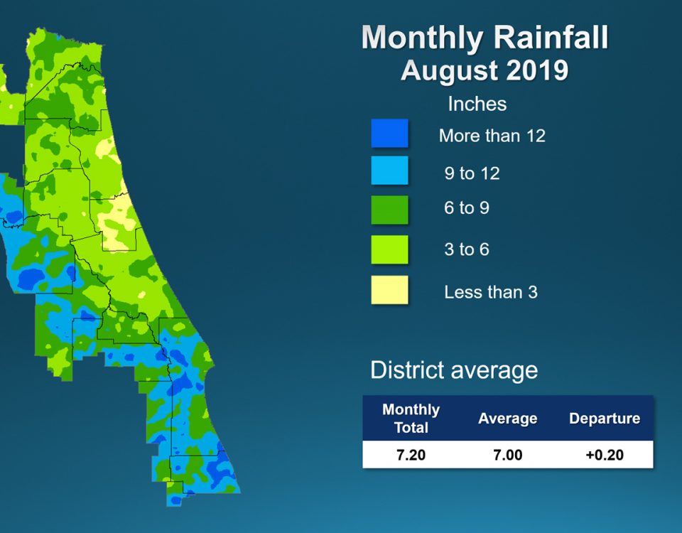 Illustrated rainfall map of Florida