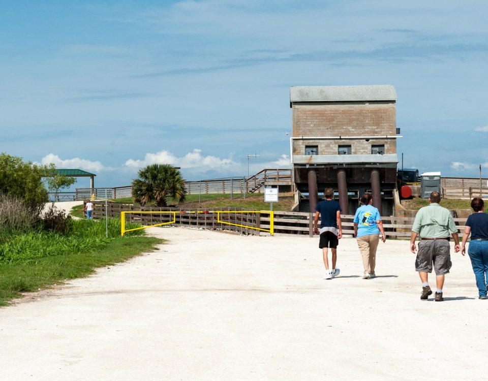 People walking toward Lake Apopka Wildlife Drive