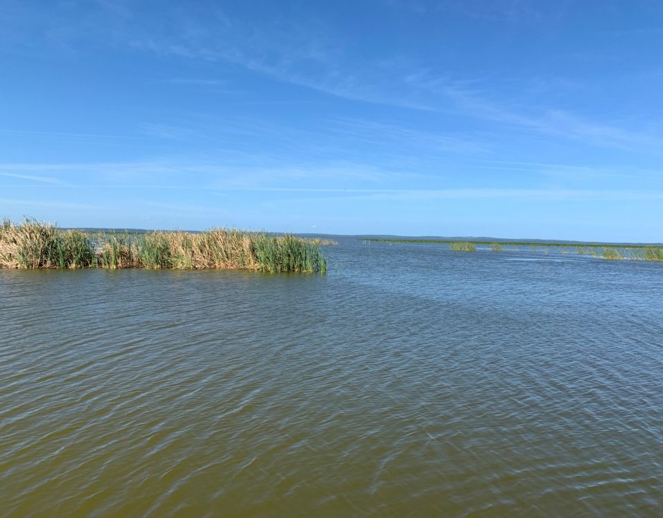 Calm waters on Lake Apopka