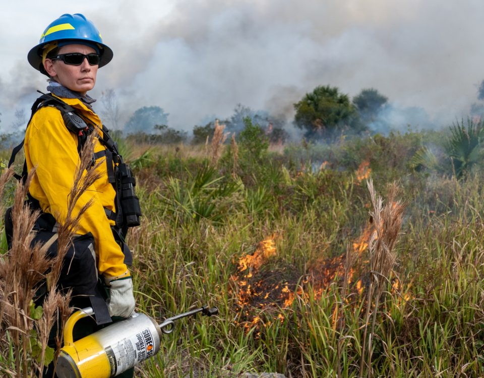 Disrict staff conducting a prescribed fire