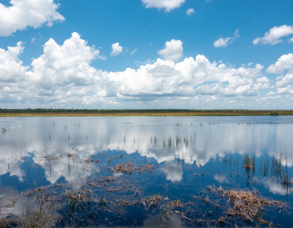 Buck Lake with fluffy clouds above it