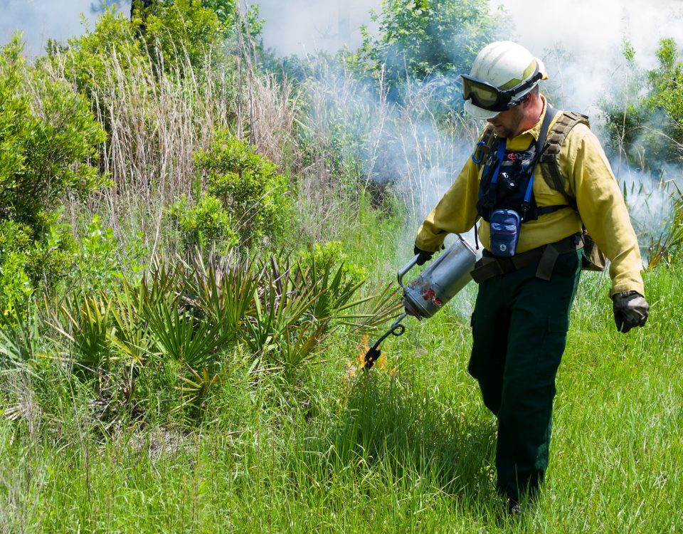 Steve Miller - SJRWMD staff conducting prescribed burn at Dunns Creek Conservation Area