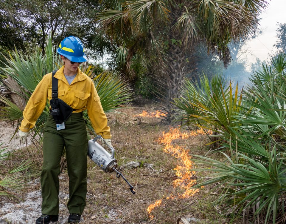 Prescribed fire ignition by District employee